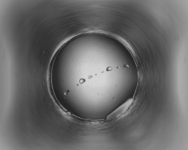X0000116321149200912011107