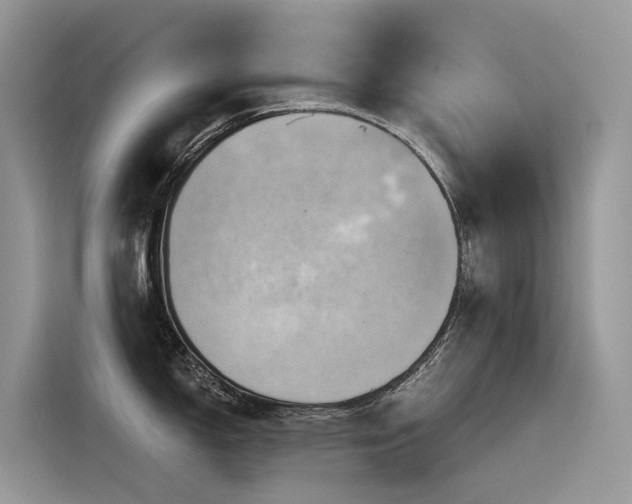 X0000116321150200912011107