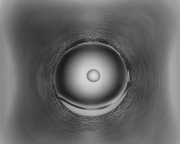 X0000116321153200912011107