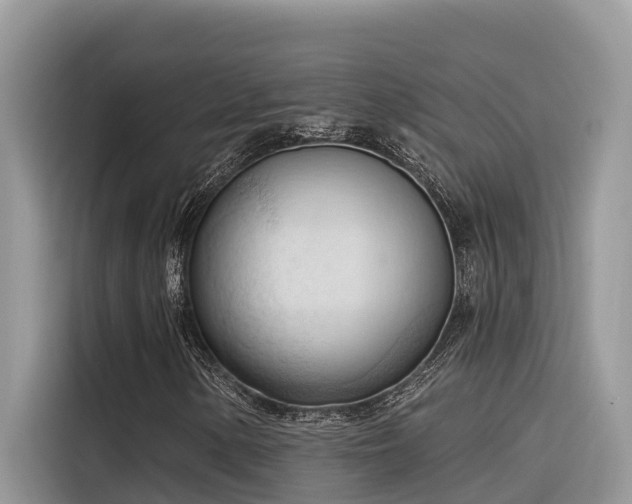 X0000116321154200912011107