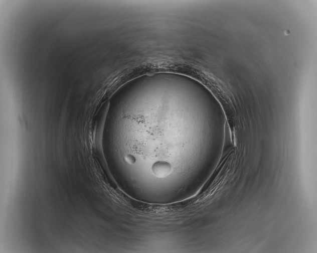 X0000116321155200912011107