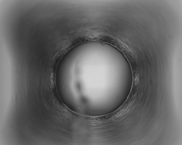 X0000116321156200912011107