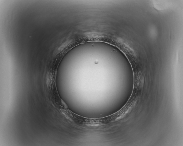 X0000116321157200912011107