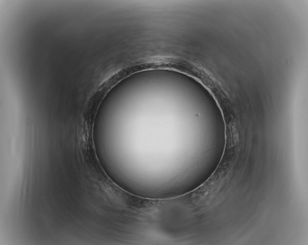X0000116321158200912011107
