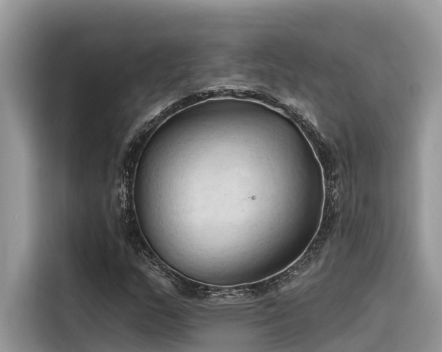 X0000116321159200912011107