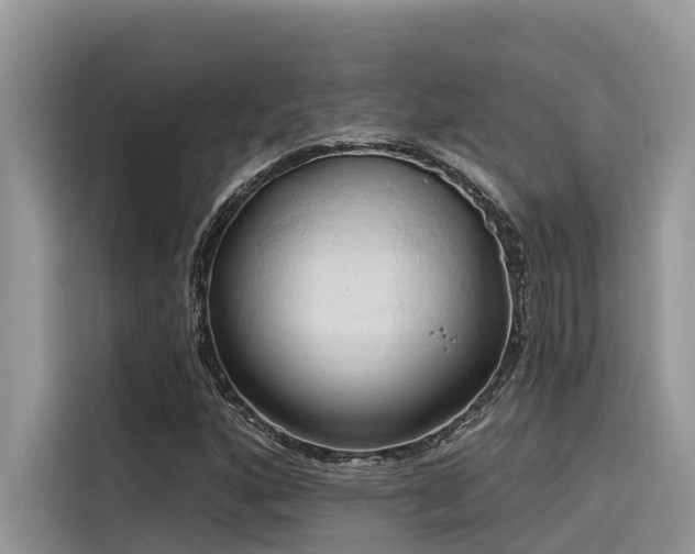 X0000116321160200912011107