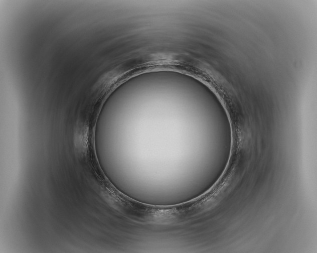 X0000116321161200912011107
