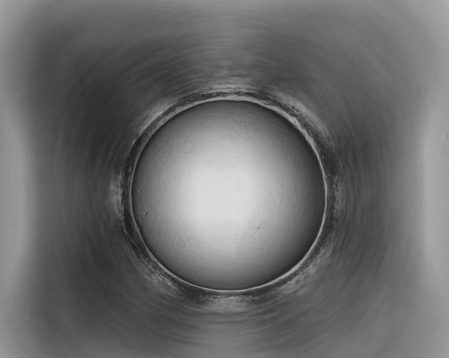 X0000116321162200912011107