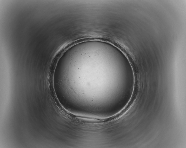 X0000116321163200912011107