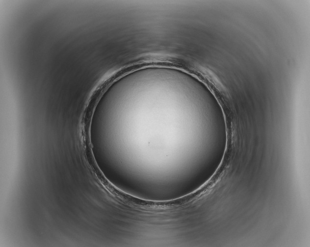 X0000116321164200912011107