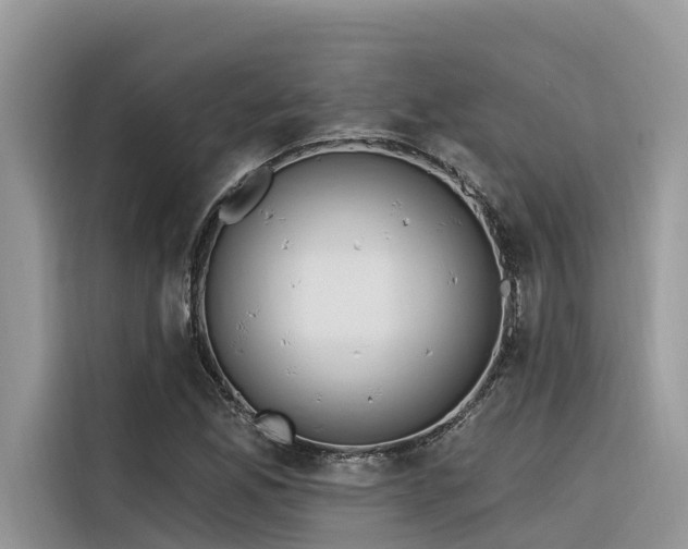 X0000116321165200912011106