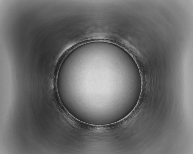 X0000116321166200912011106