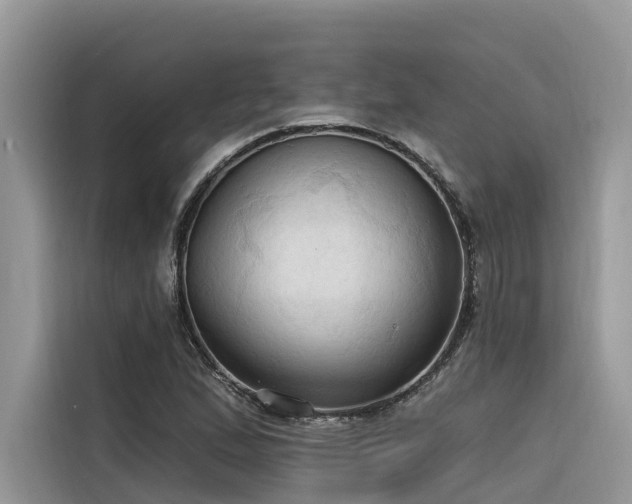 X0000116321167200912011106