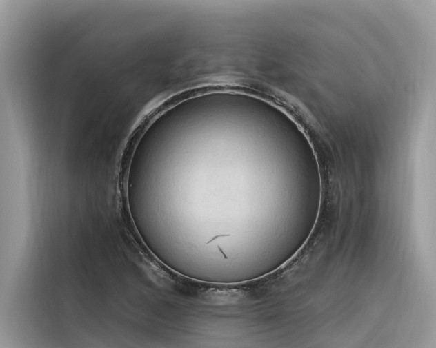 X0000116321168200912011106