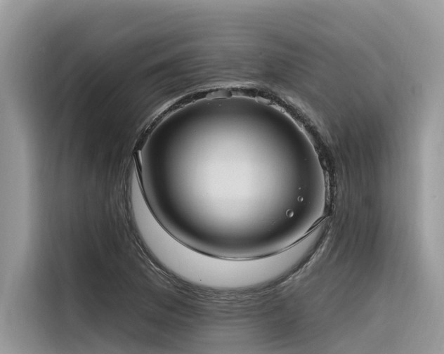 X0000116321169200912011106