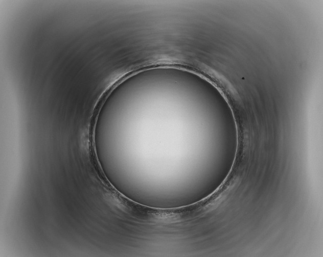 X0000116321170200912011106