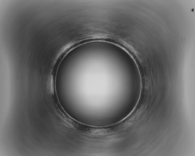 X0000116321171200912011106