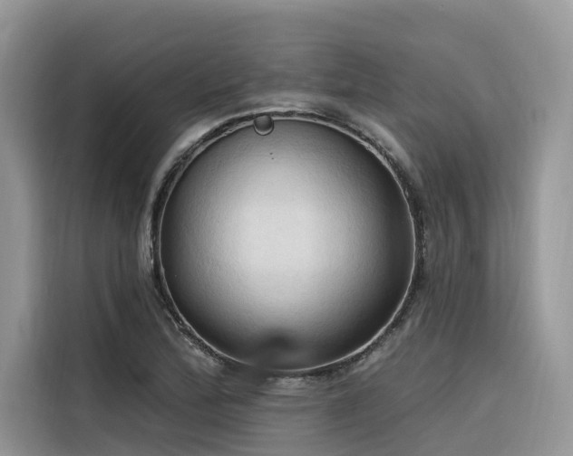 X0000116321172200912011106
