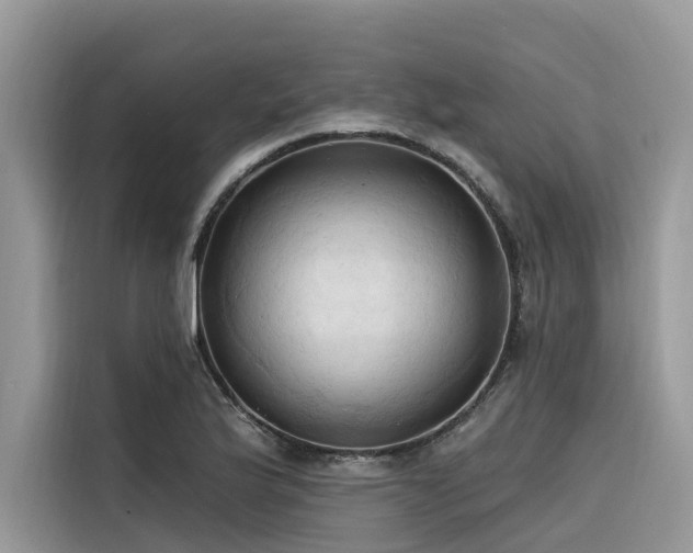X0000116321175200912011106