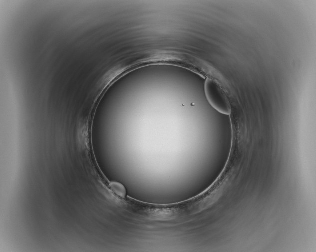 X0000116321177200912011106