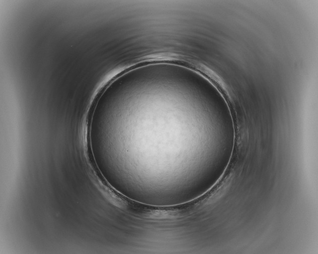 X0000116321179200912011106