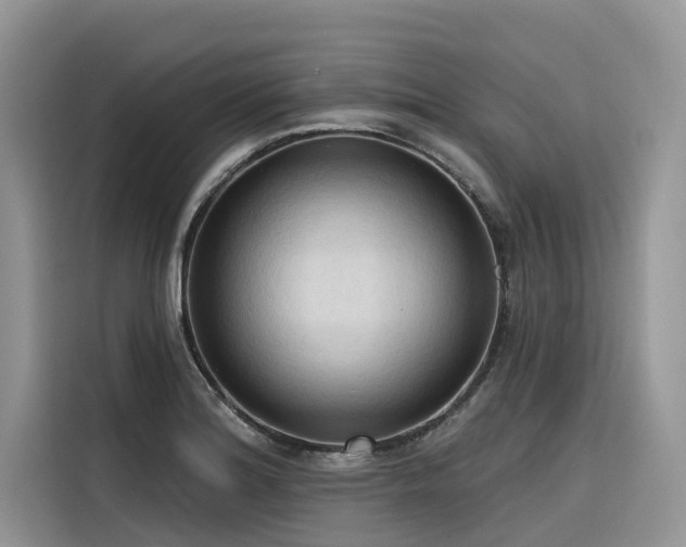 X0000116321180200912011106