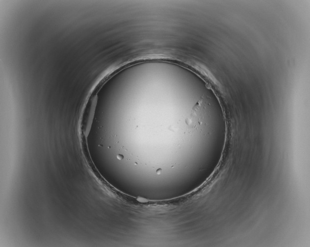 X0000116321181200912011106