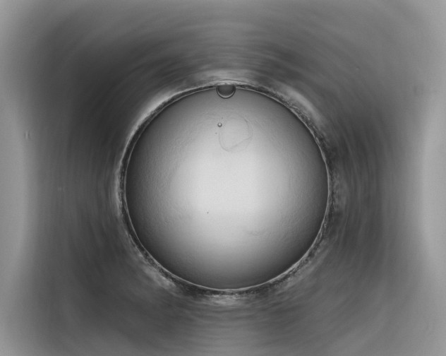 X0000116321182200912011106