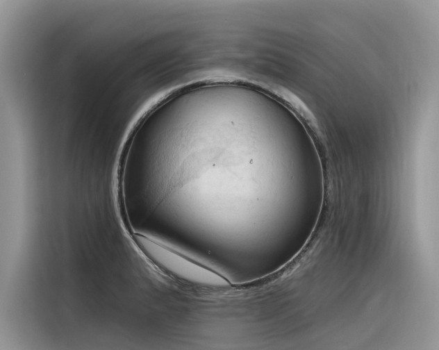 X0000116321183200912011106