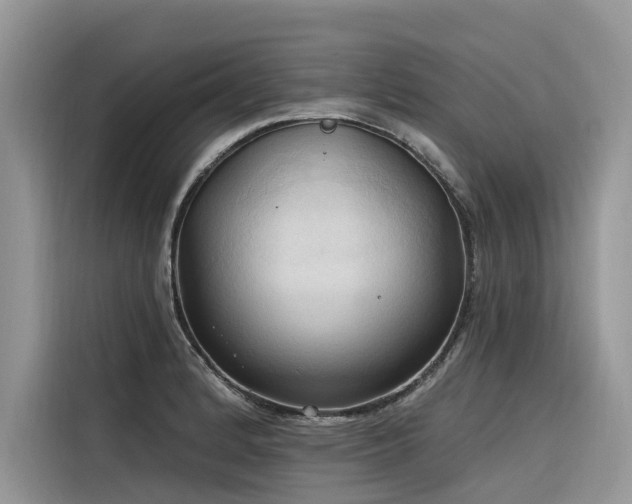 X0000116321184200912011106