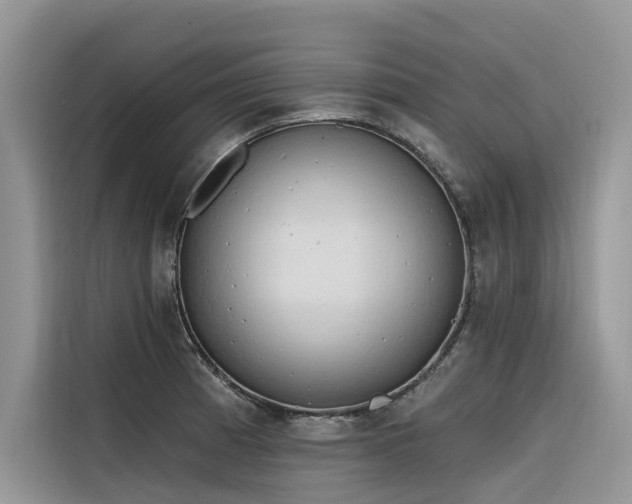 X0000116321185200912011106