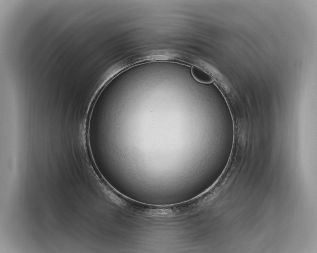 X0000116321186200912011106