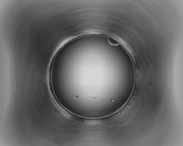 X0000116321187200912011106