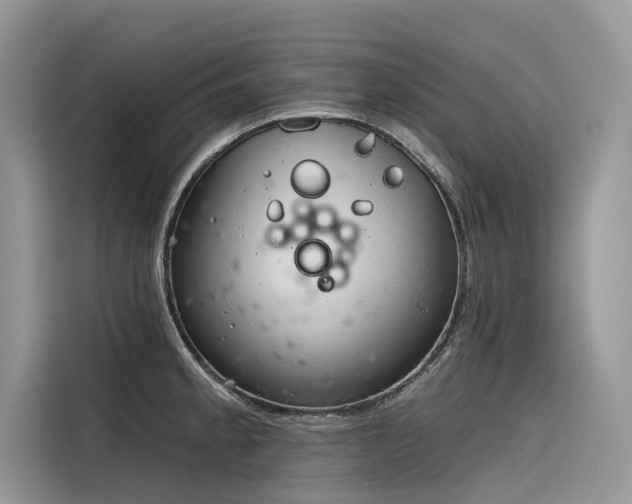 X0000116321189200912011106