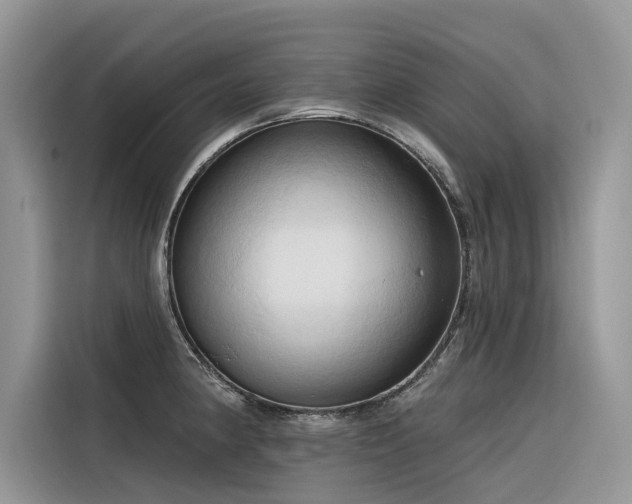 X0000116321190200912011106