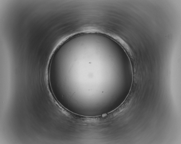 X0000116321191200912011106