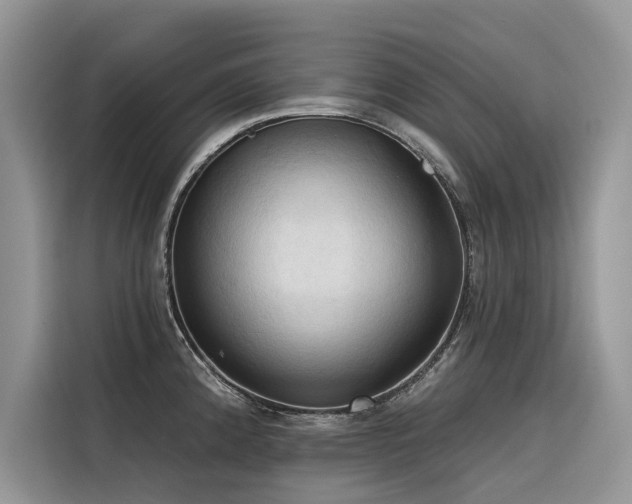 X0000116321192200912011106