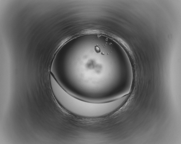 X0000116321193200912011106
