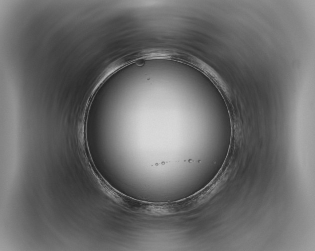 X0000116321194200912011106