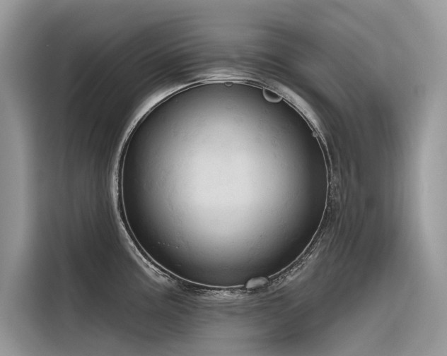 X0000116321195200912011106