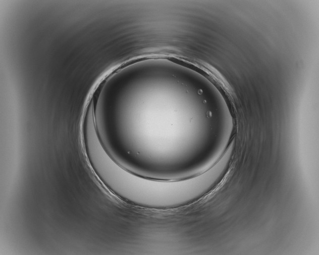 X0000116321196200912011106