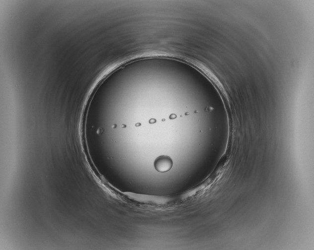 X0000116321197200912011106
