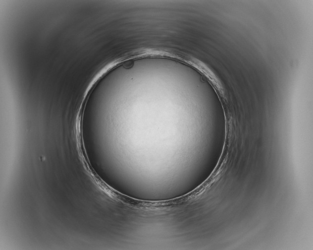 X0000116321198200912011106
