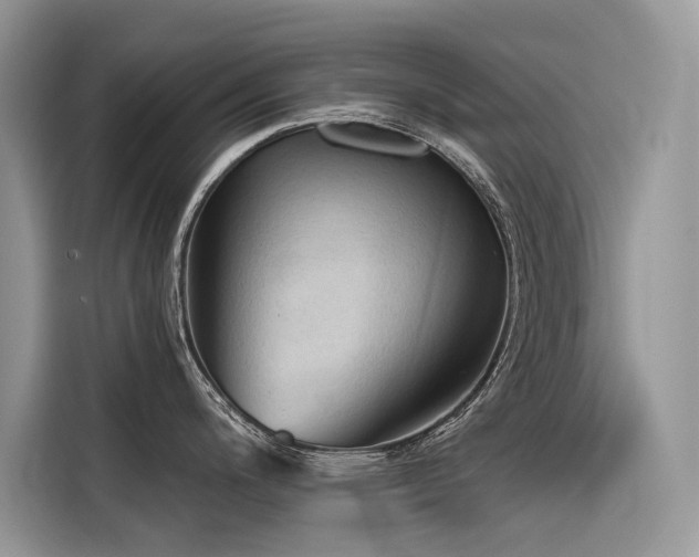 X0000116321200200912011106