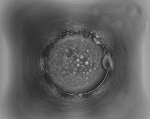 X0000116321203200912011105