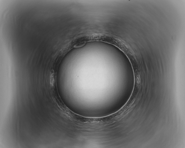 X0000116321204200912011105