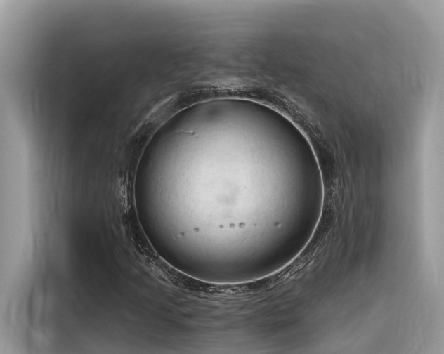 X0000116321205200912011105