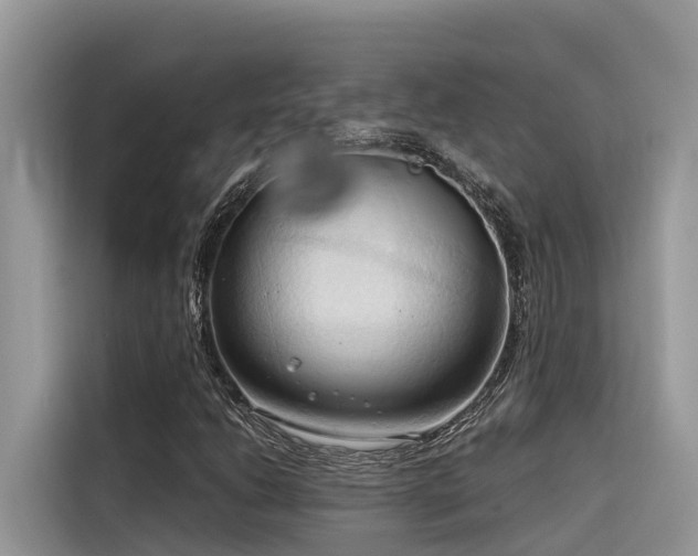X0000116321206200912011105