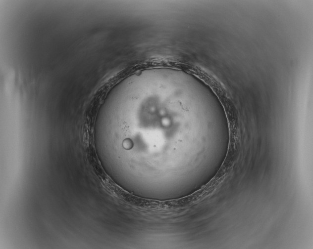 X0000116321207200912011105