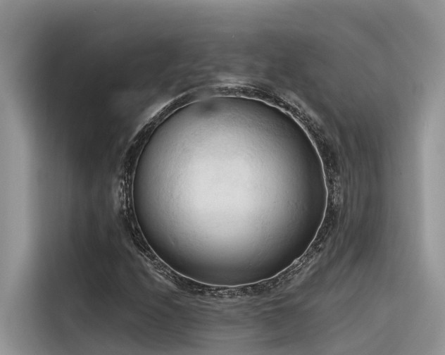 X0000116321208200912011106
